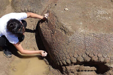 私たちの知らない、人目を引く場所や発見