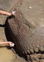 أماكن وتحف واكتشافات ساحرة في هذا العالم لم نعرف بوجودها من قبل