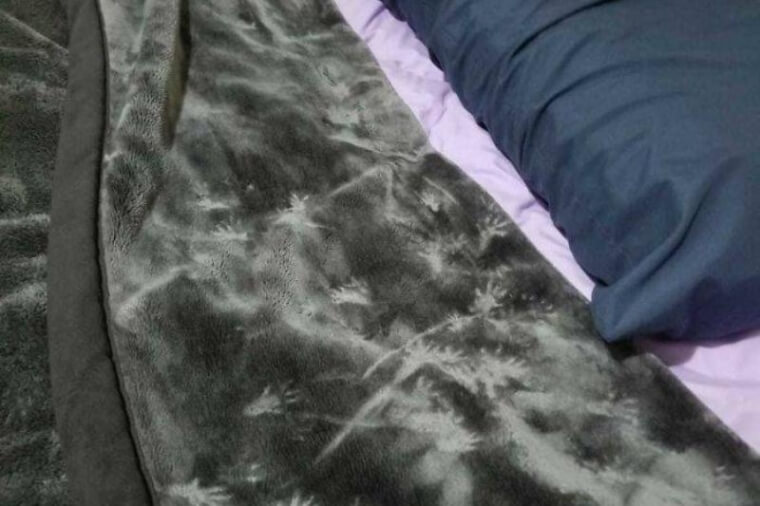 Finding Rodent Paw Prints Right Before Its Time To Sleep