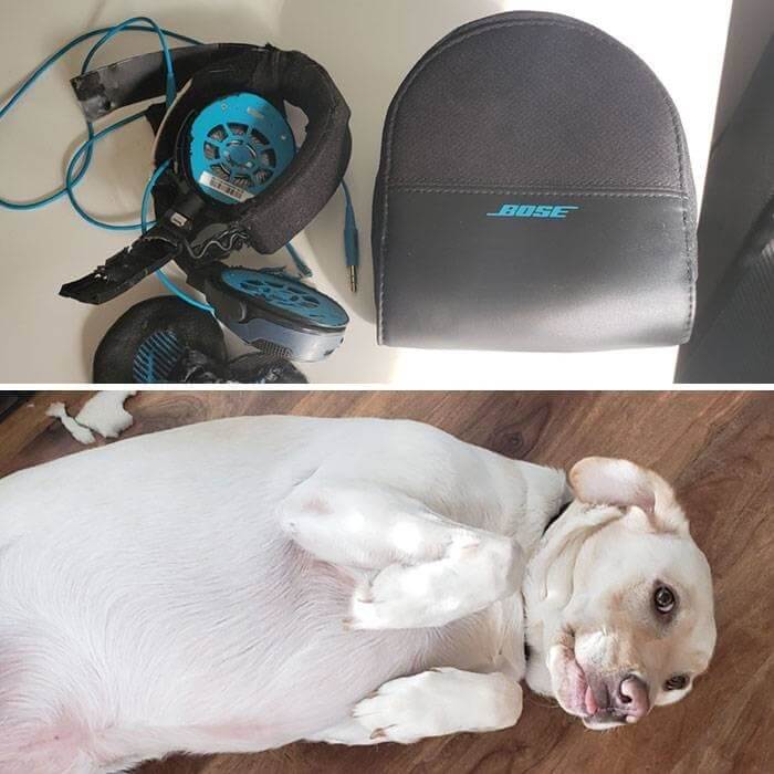 $300 Down The Drain, But Look At That Face