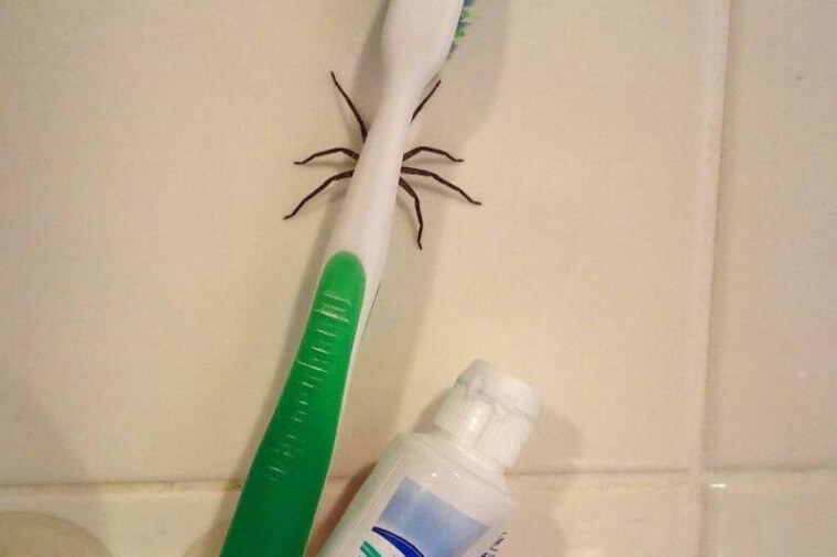 Nope, Nope, And Nope