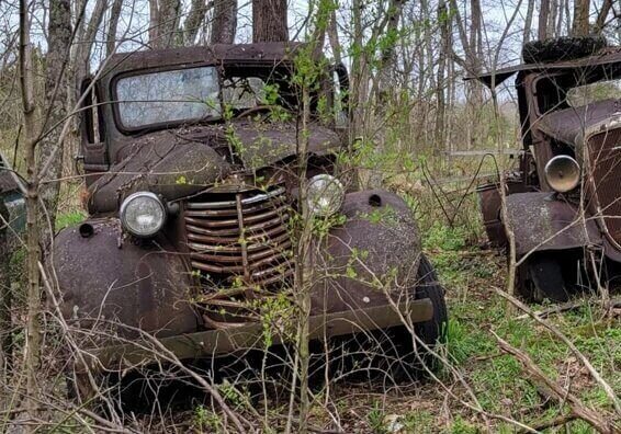 Choosing the Wrong Classic Car