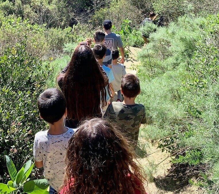 Staying Healthy and Busy