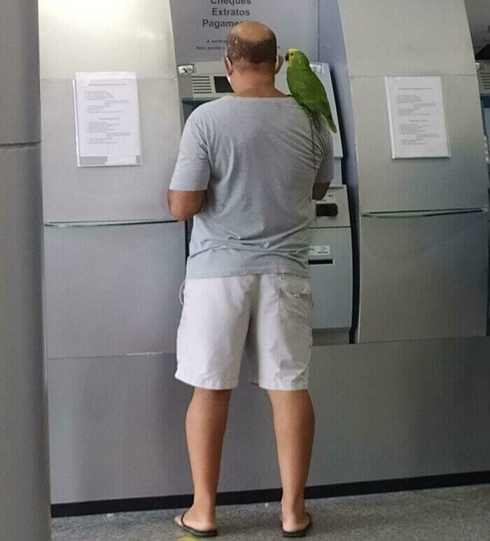 L'oiseau De Ce Type L'accompagne Littéralement Partout
