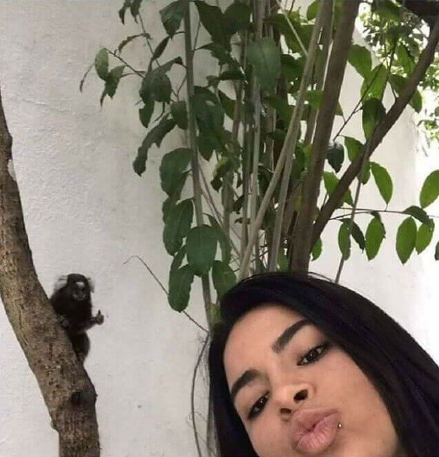 Ce Singe A Vraiment Posé Pour La Photo