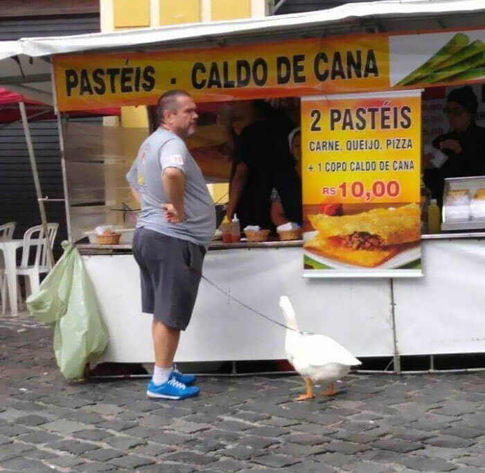 Ce Type A Un Animal De Compagnie Intéressant