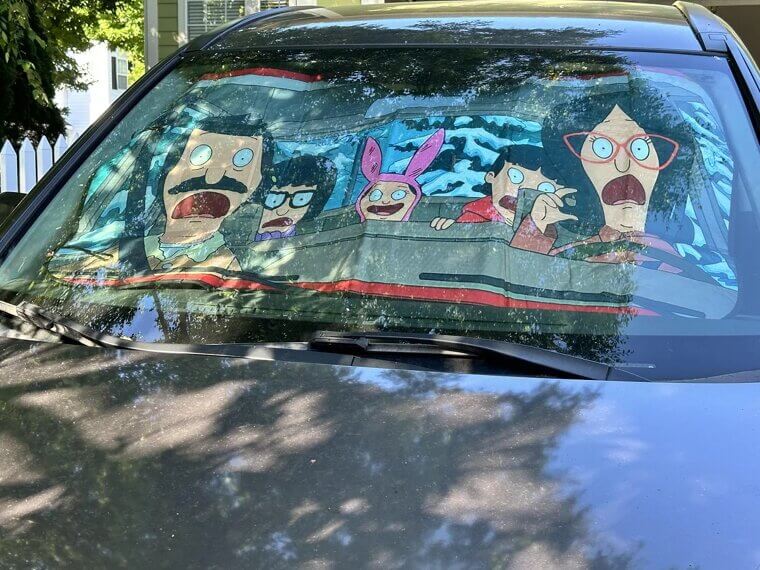 Personalised Windscreen Shades