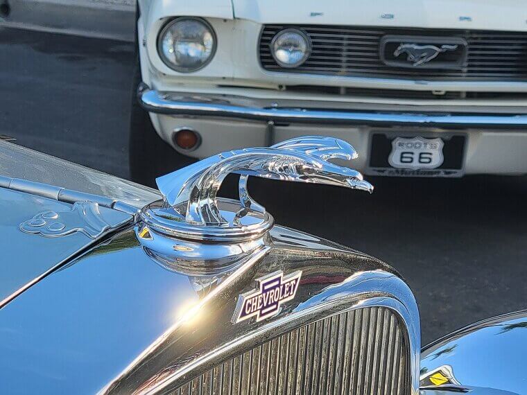Hood Ornaments