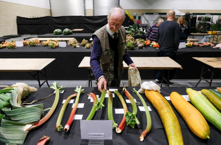 This Man Grows Record Breaking Vegetables