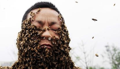 460,000 Bees Covered This Man's Body For A World Record