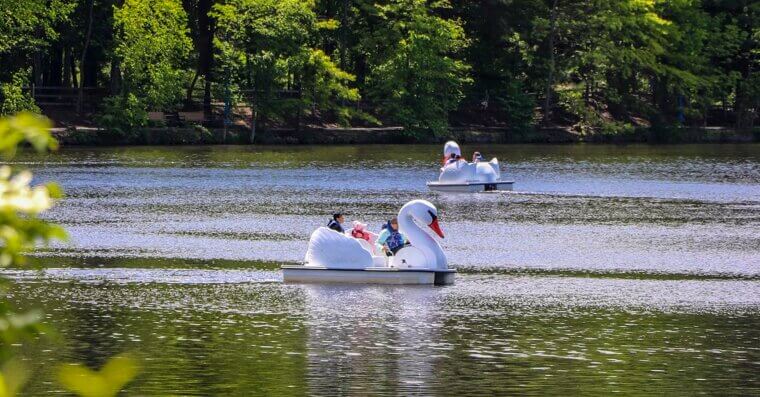 Paddleboat Rentals at Parks