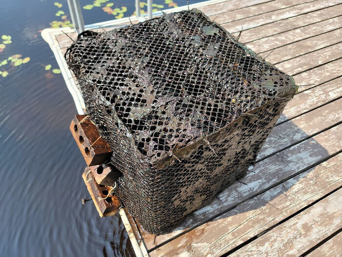 Seltsame Entdeckung am Haus am See