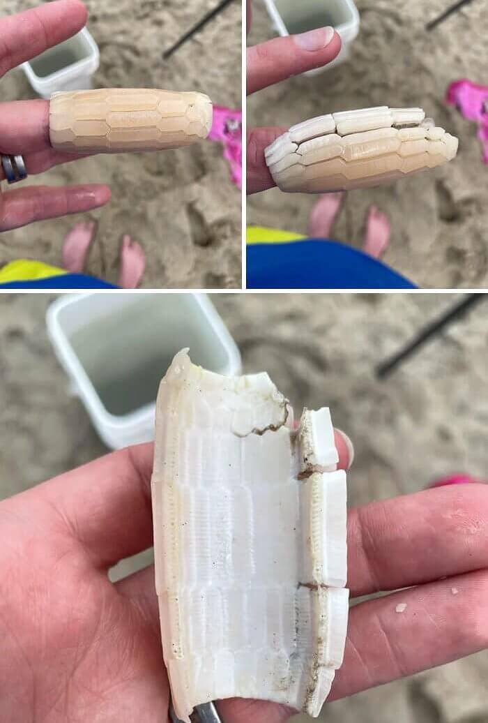 Sieht fast aus wie Schmuck