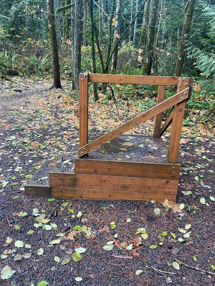 Eine kleine Treppe im Wald