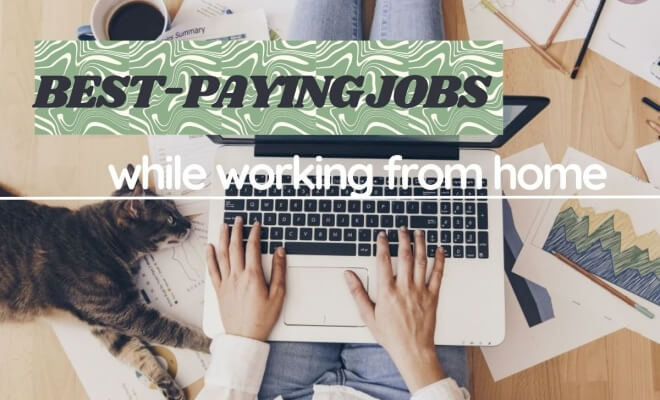 Do You Want to Work From Home? From Data Entry to Voiceover Acting: Here Are the Highest-Paid Skills You Can Learn!