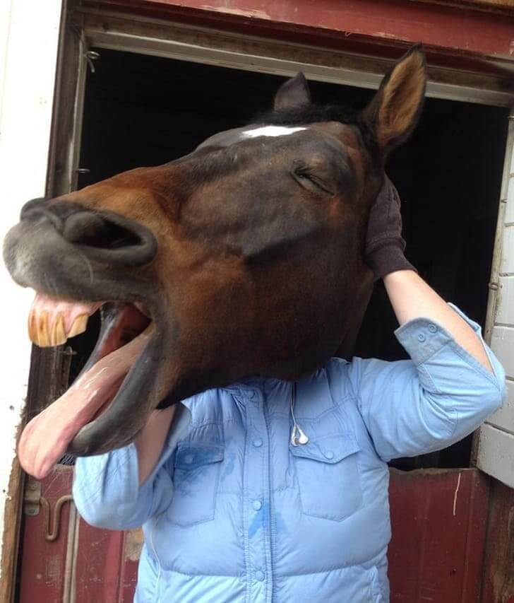 Real Inspiration Behind BoJack Horseman