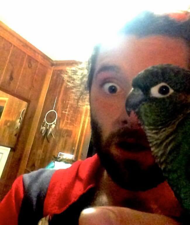 Getting Bird’s Eye View