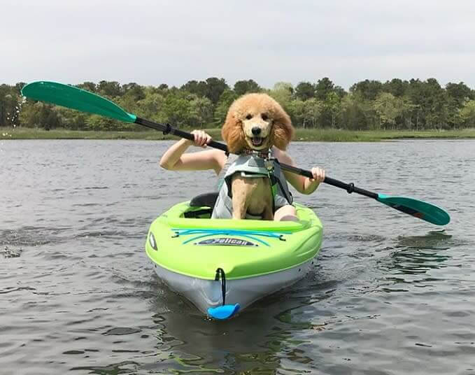 Next Rowing Champion in Making