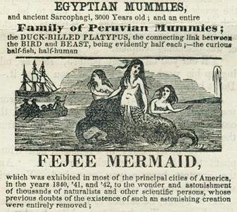 Theories on Mermaid Existence
