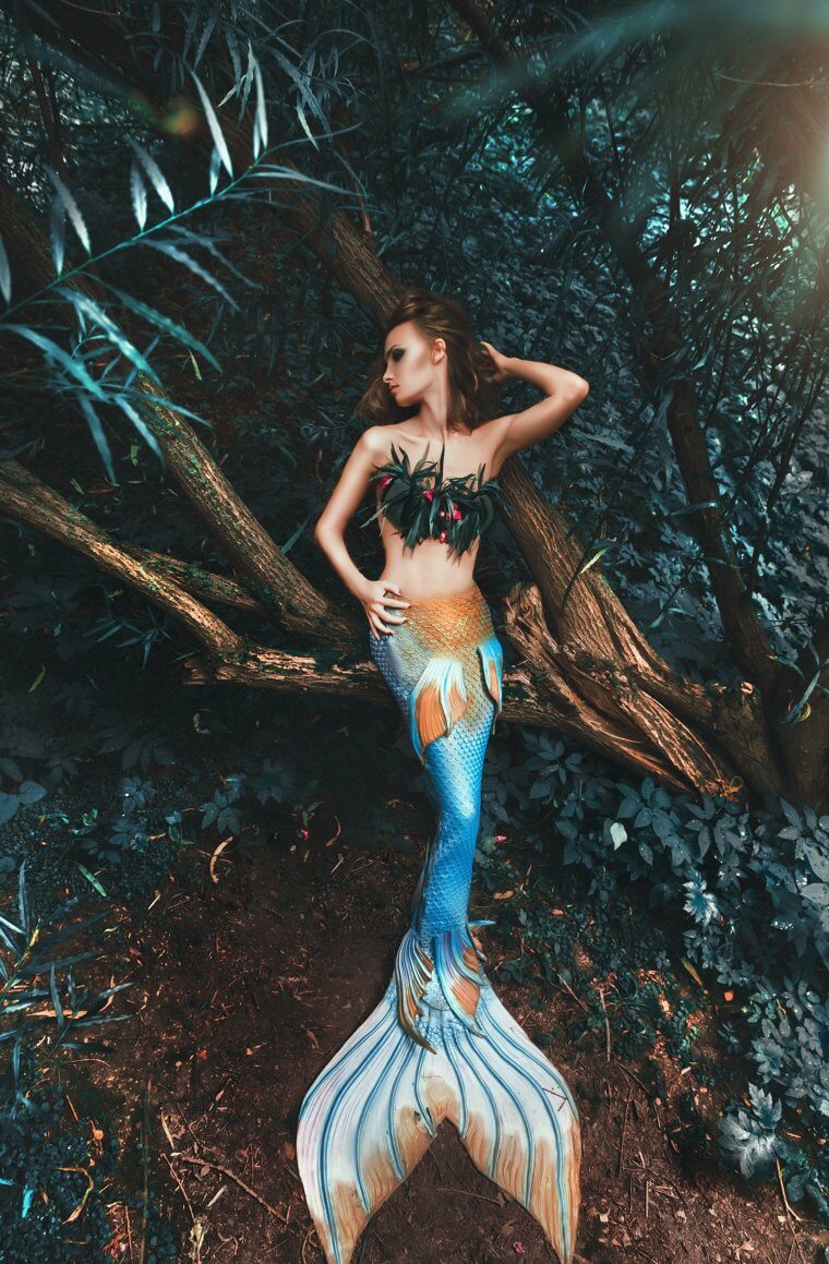 What Is a Mermaid?