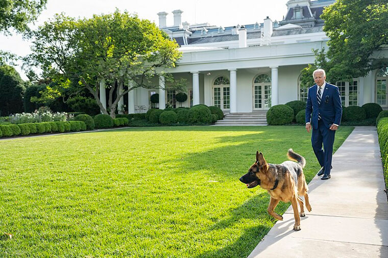 The First Family Must Pick up After Their Dogs