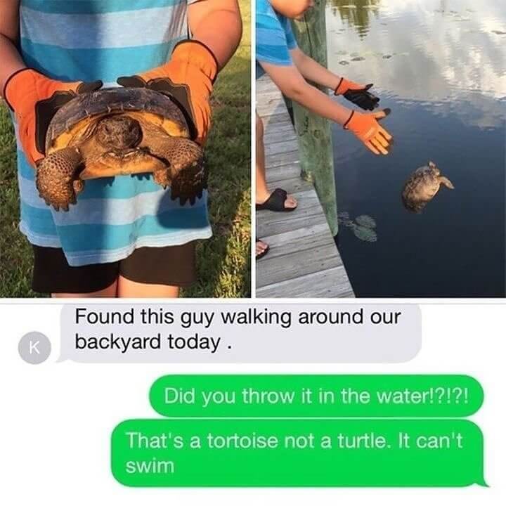 A Good Deed Gone Wrong