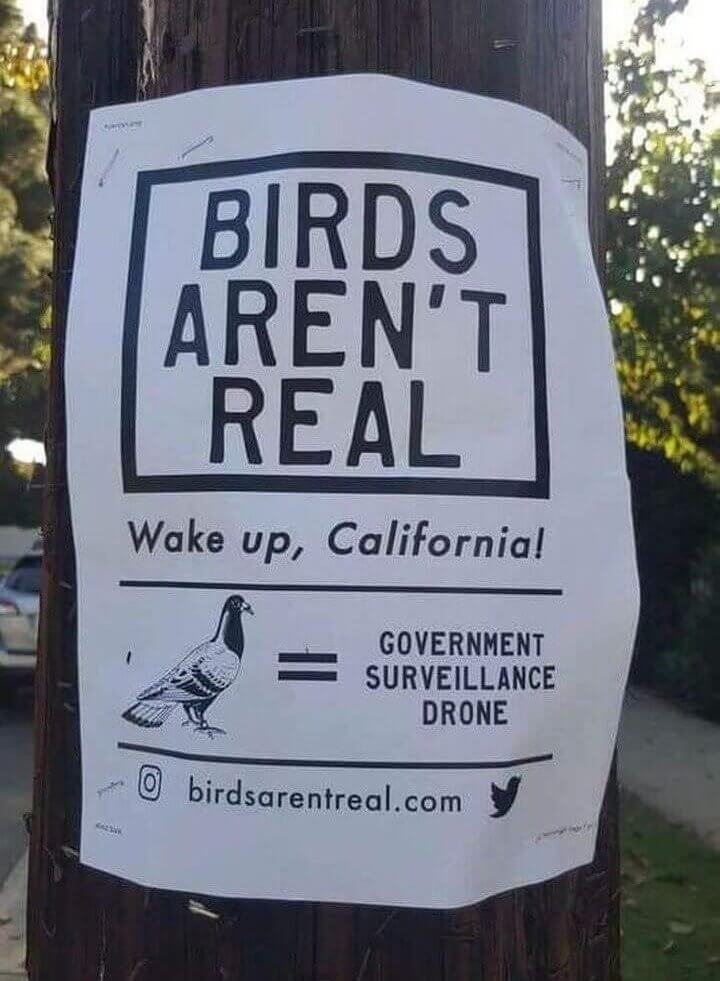 Wake Up, California!