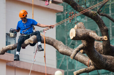 DIY Repair Myths That Cost People More in the Long Run