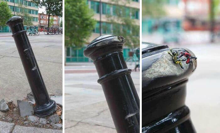 アントマン・イン・リアル・ライフ