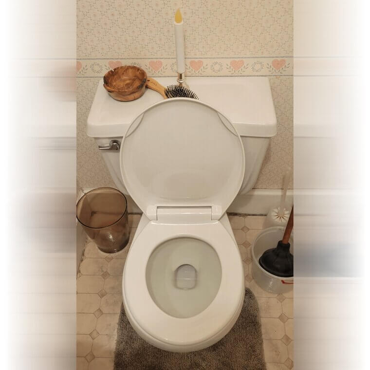 Unclog a Toilet