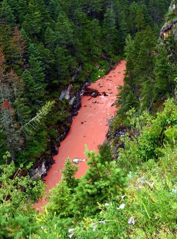 Não a imagem perfeita da natureza que imaginamos