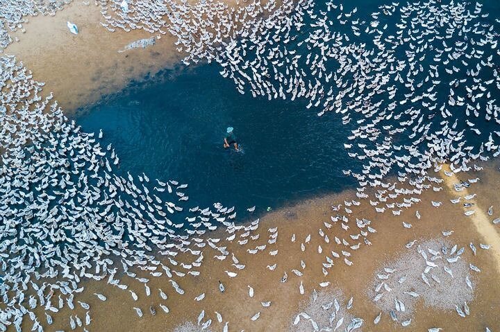 Uma foto que só um drone poderia obter