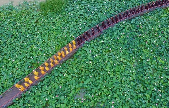 Até mesmo a visão dos monges budistas já dá um sentimento zen