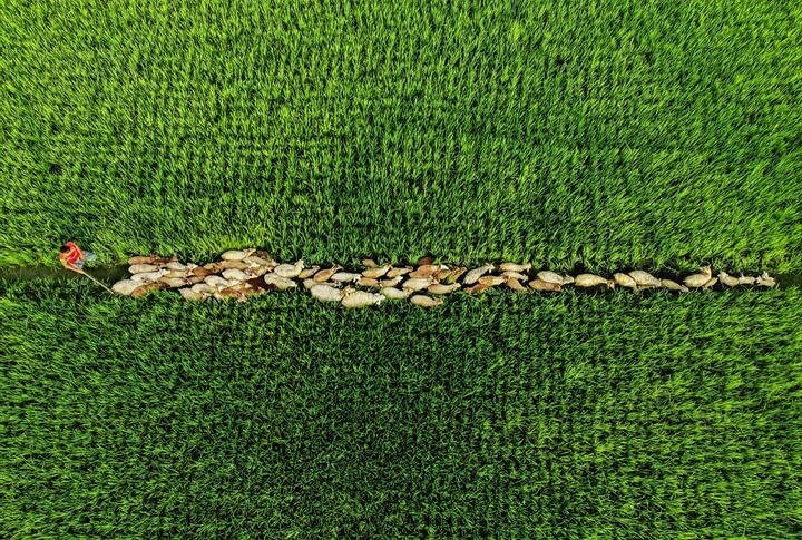 Um vislumbre do passado no presente