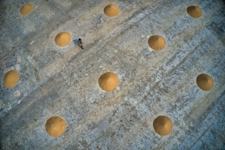 Há arte na sustentabilidade