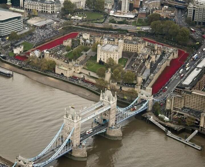 A liberdade vem com uma etiqueta de preço pesada