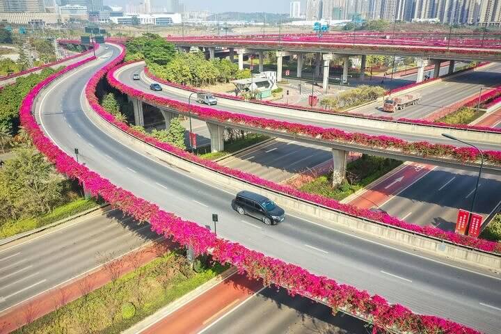 Não pare para cheirar as flores