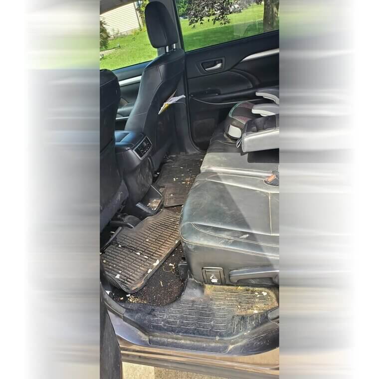 Clean the Interior Weekly