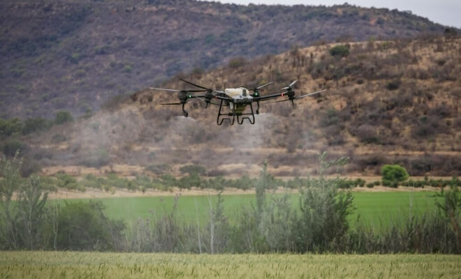 How Innovation Can Support Regenerative Practices