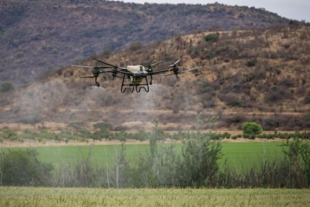 How Innovation Can Support Regenerative Practices