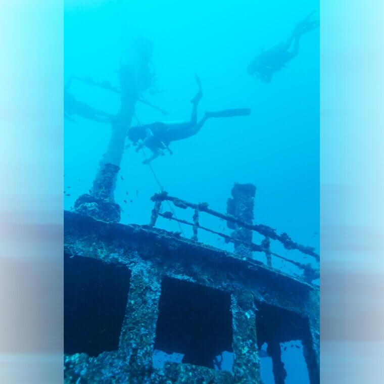 Страсть Тима Тейлора к открытиям