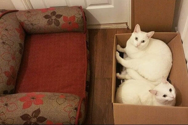 Ein neues Bett