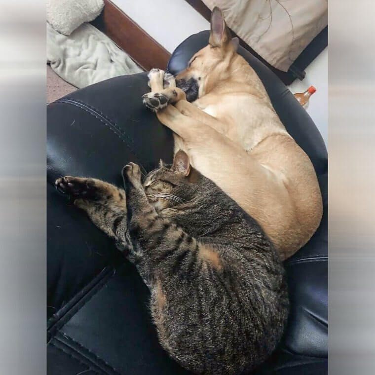 Die Krabbenpose