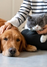 Sweet Photos of Pets and Their New Siblings