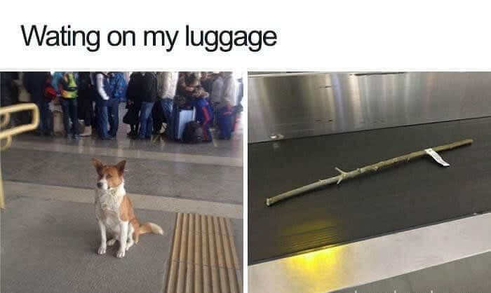 The Joys Of Baggage Claim