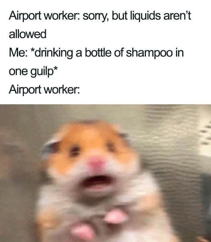 "WHAT IS WRONG WITH YOU?!"