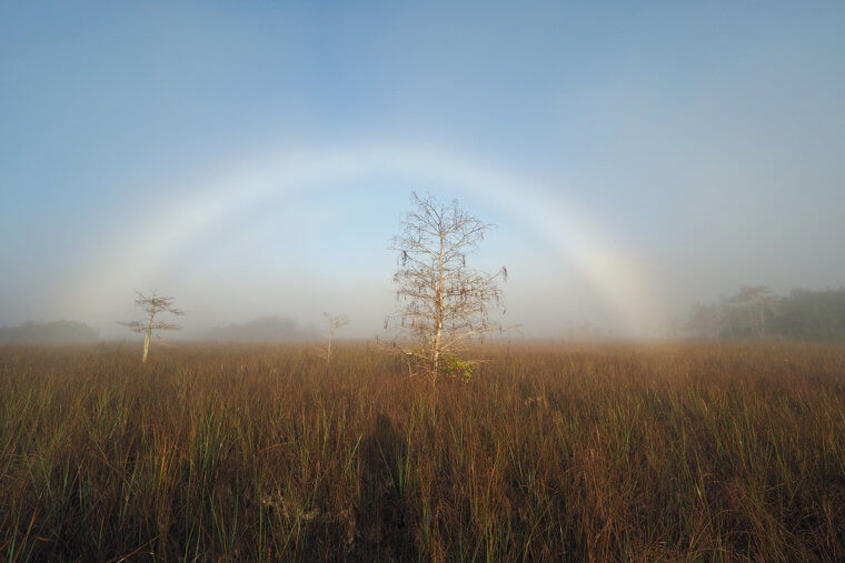 Fogbow, Ou O Arco-Íris Branco