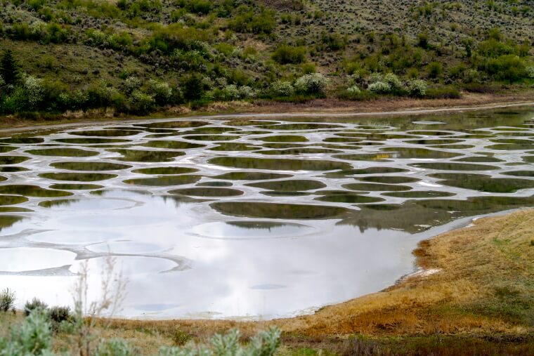 O Impressionante Lago Manchado Em Osoyoos