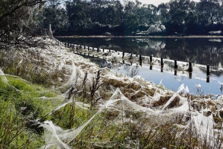 ABC News: Mark Debono