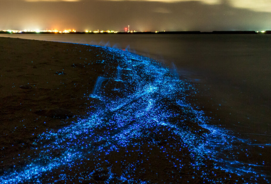 50つの世界で起こった最もシュールな自然現象